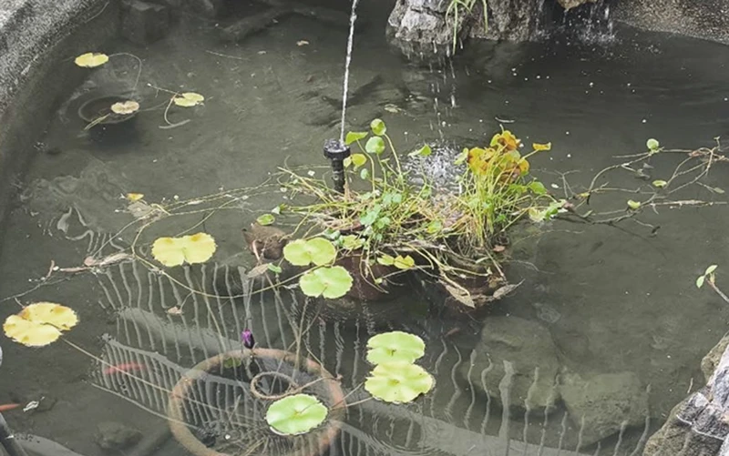 Kaohsiung Korean School