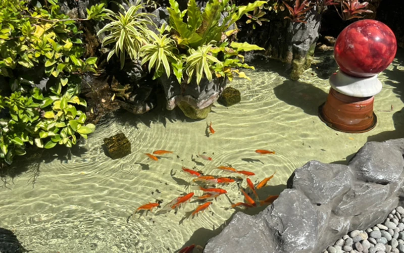 龍潭景觀池廠房魚池