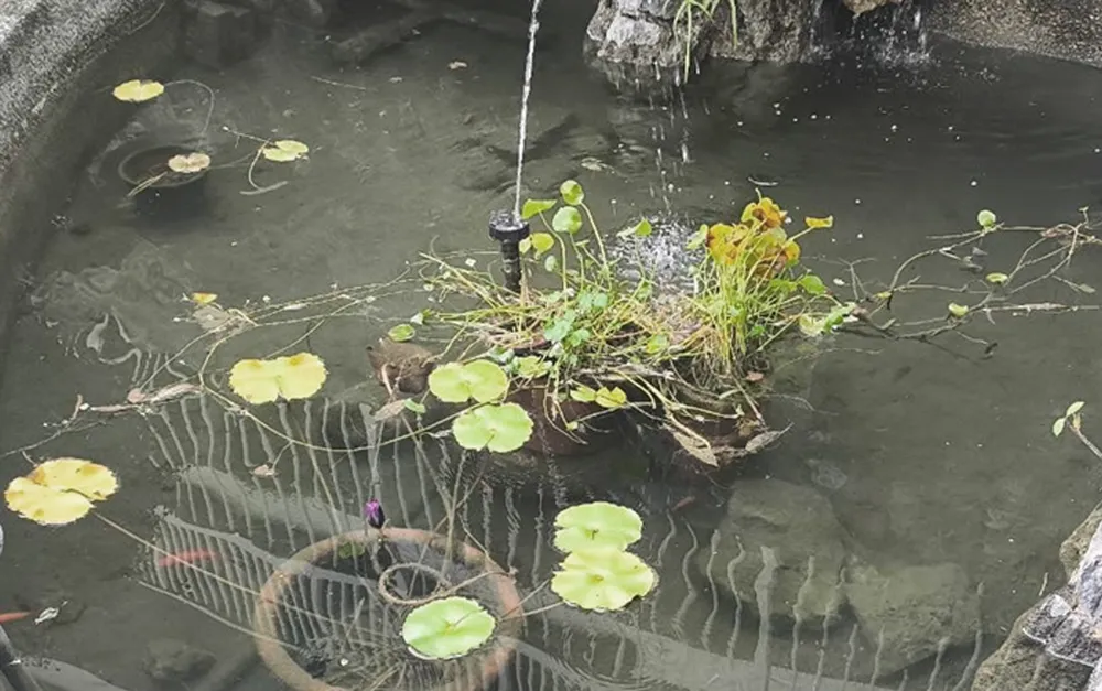 Kaohsiung Korea International School