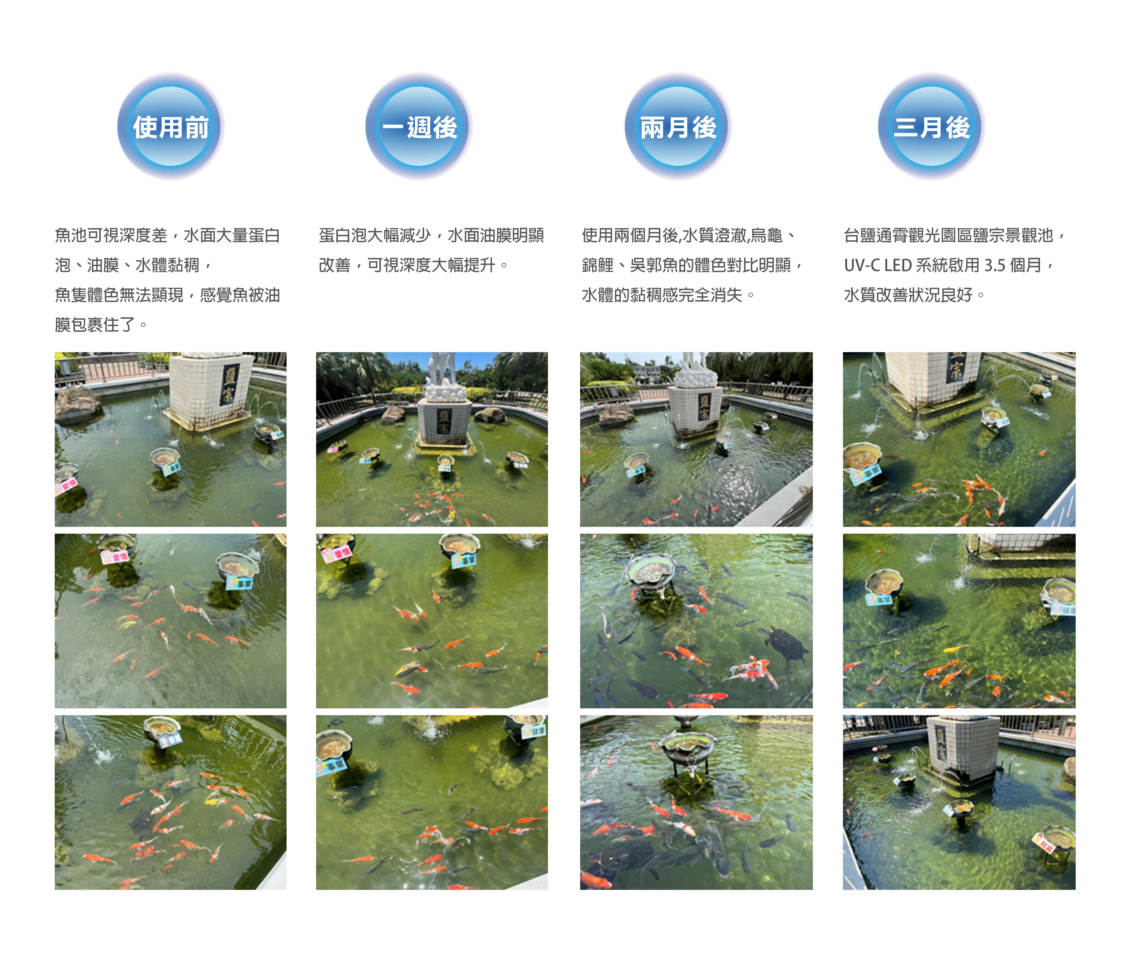 Tongxiao Taiyen Yanzong Landscape Pond