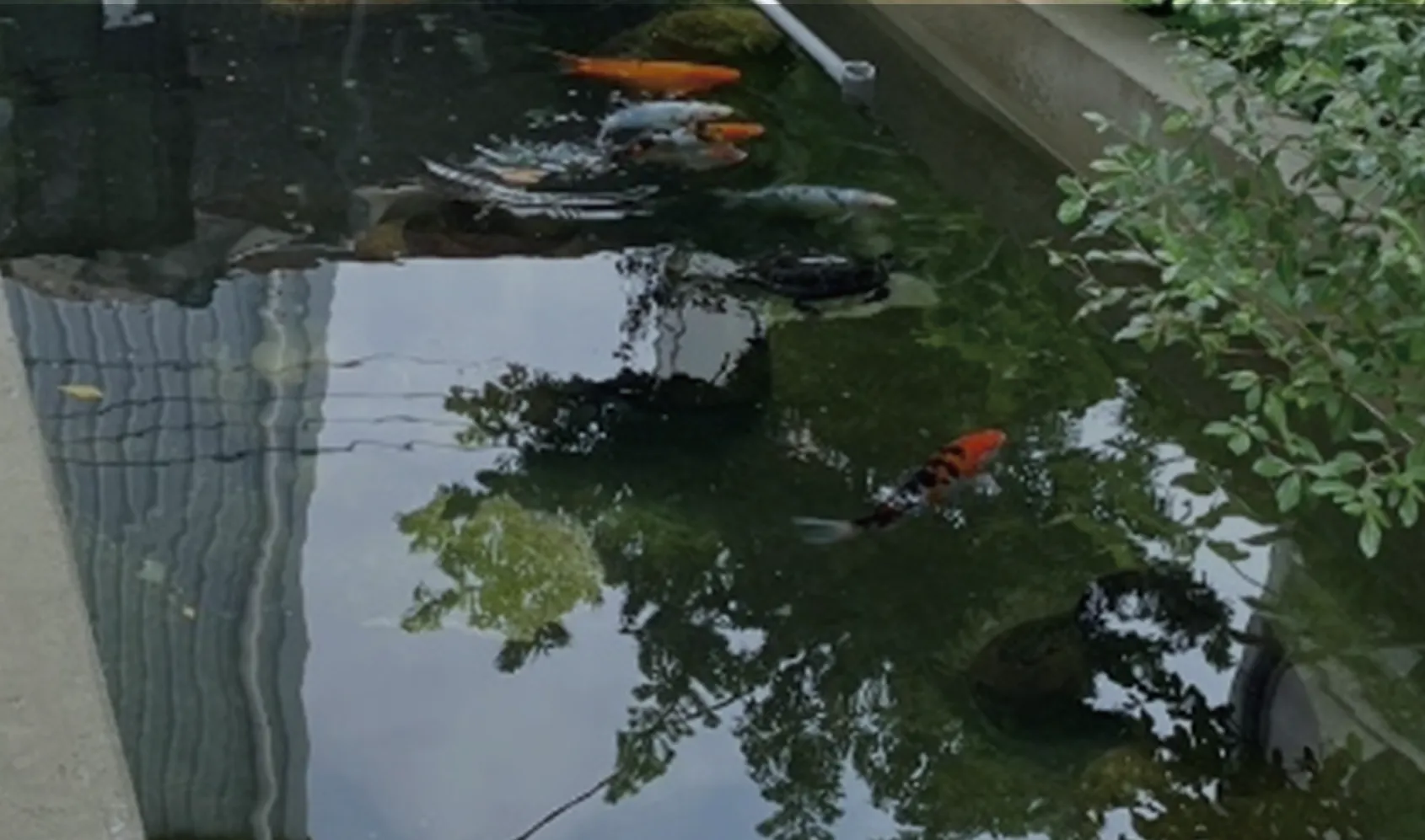 Taoyuan Landscape Pond