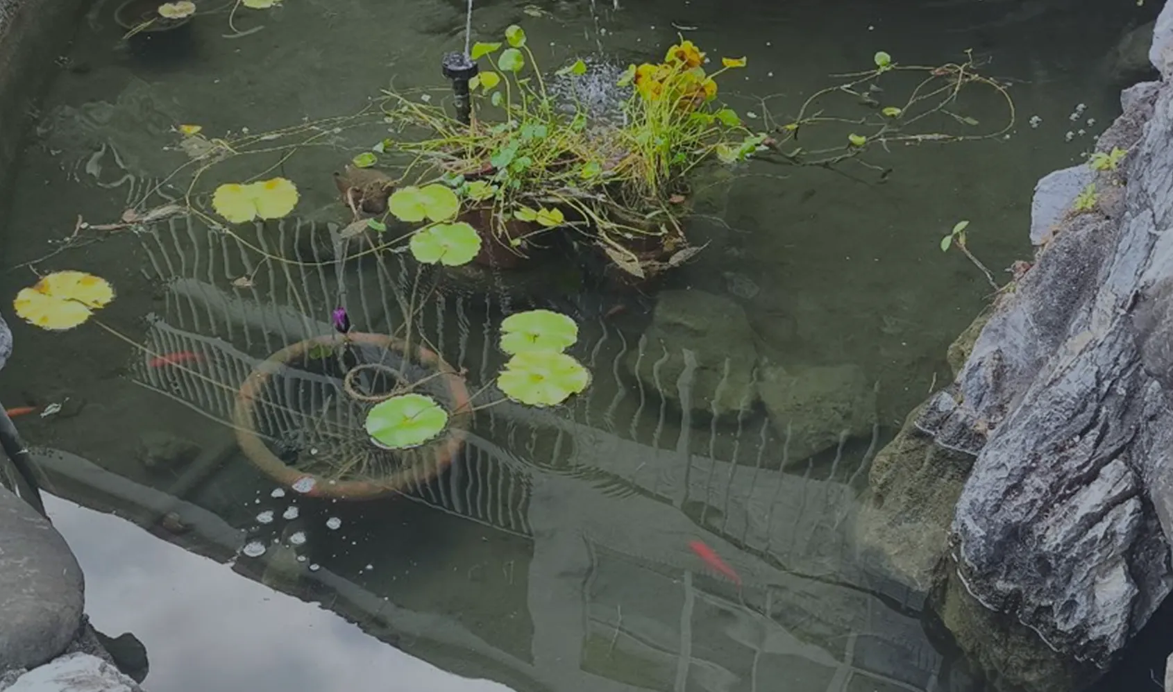 Kaohsiung Korean International School