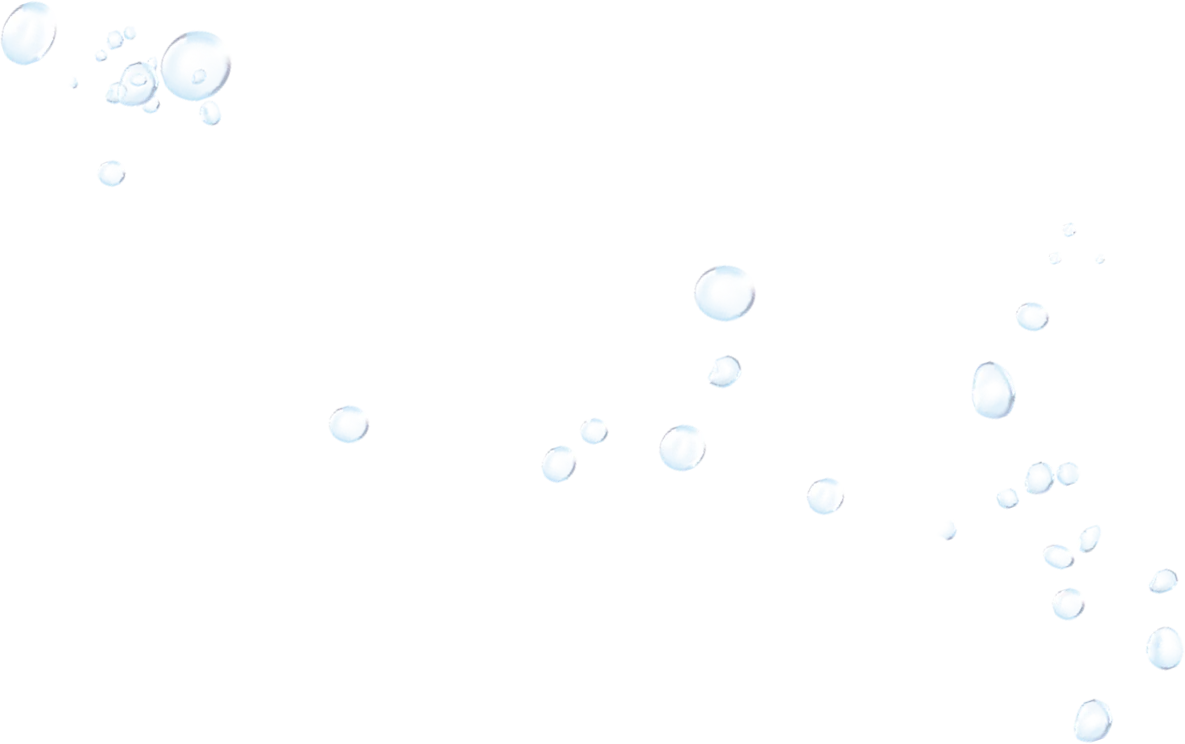 Customer Testimonials