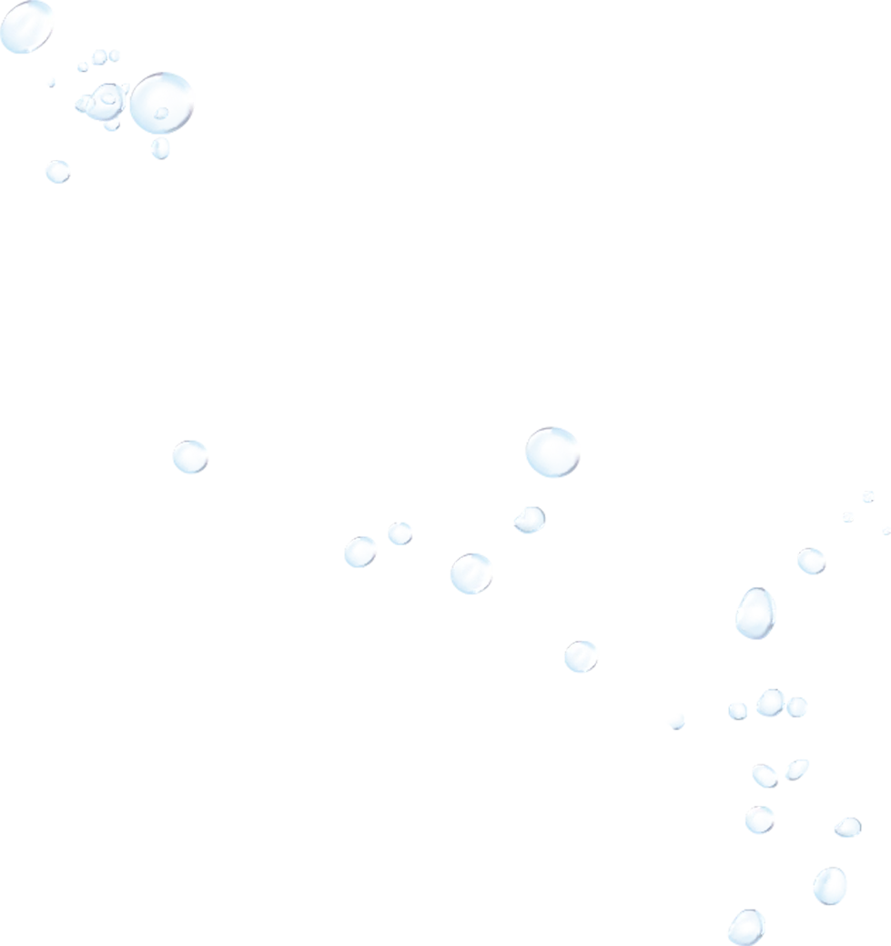 Customer Testimonials